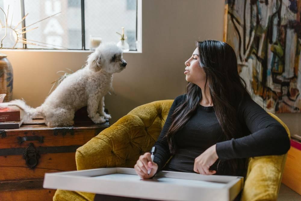 All Pet Sitting Topics in Georgetown